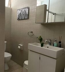 Princess Of Wales Park (D10), Semi-Detached #584476901